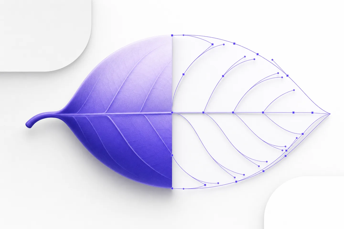 A photo edge being rebuilt as smooth vector curves during PNG to EPS conversion